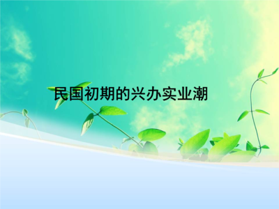 民國(guó)初期的興辦實(shí)業(yè)潮.ppt